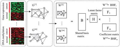 Inferring Functional Epigenetic Modules by Integrative Analysis of Multiple Heterogeneous Networks